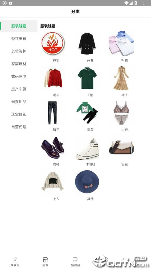 淇淇果1