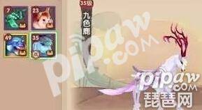 寻仙手游宠物收集怎么提升等级?寻仙手游宠物四维怎么提升