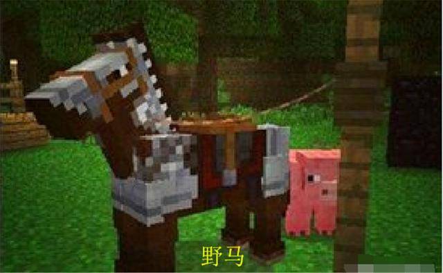 我的世界mc最稀有的十大生物?我的世界9种最稀有的生物