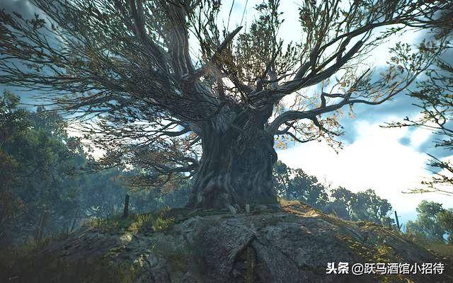 巫师3狂猎林中夫人两种结局,巫师3林中夫人三个隐藏剧情